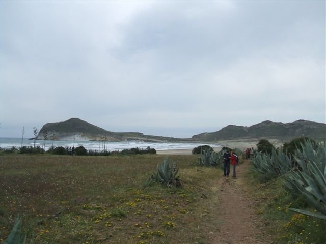 dscf3823.jpg