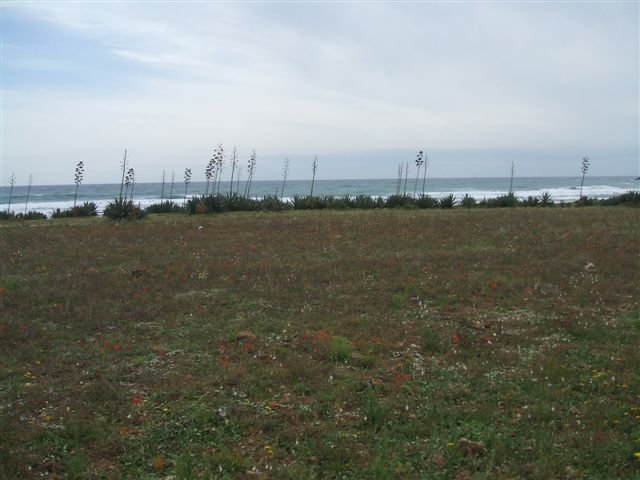 dscf3824.jpg