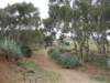 dscf3825_small.jpg
