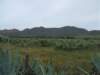 dscf3827_small.jpg
