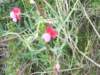 dscf3828_small.jpg