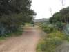 dscf3830_small.jpg