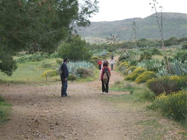 dscf3831.jpg