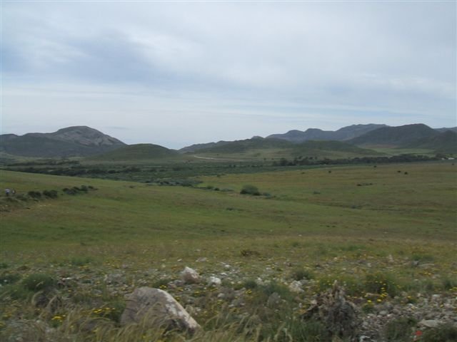 dscf3835.jpg
