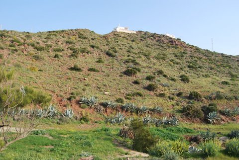 dsc_0680.jpg