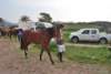 dsc_0701_small.jpg
