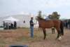 dsc_0710_small.jpg