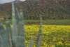 dsc_0712_small.jpg