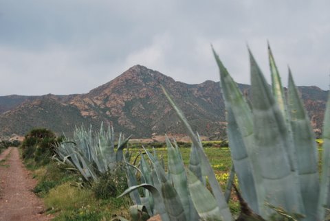 dsc_0714.jpg