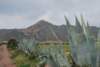 dsc_0714_small.jpg
