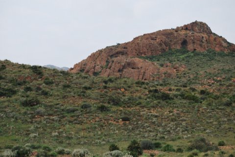 dsc_0721.jpg