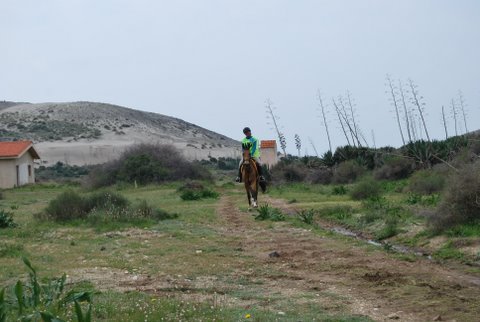 dsc_0792.jpg