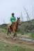 dsc_0793_small.jpg