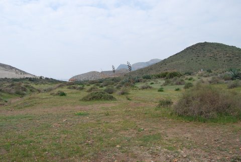 dsc_0795.jpg