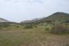 dsc_0795_small.jpg
