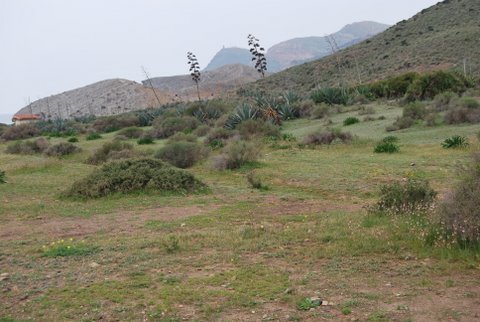 dsc_0797.jpg
