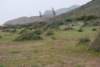 dsc_0797_small.jpg