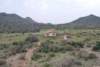 dsc_0798_small.jpg