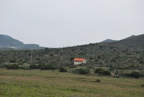 dsc_0807.jpg