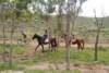dsc_0814_small.jpg