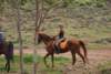 dsc_0816_small.jpg