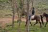 dsc_0817_small.jpg