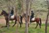dsc_0818_small.jpg