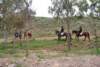 dsc_0819_small.jpg