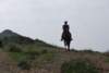 dsc_0826_small.jpg