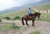 dsc_0828_small.jpg