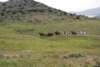 dsc_0833_small.jpg