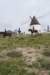 dsc_0837_small.jpg