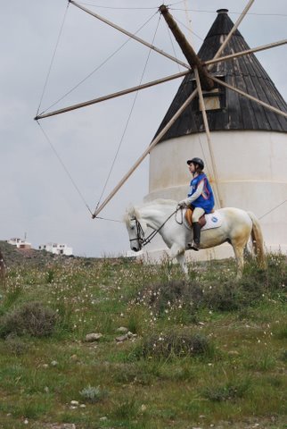 dsc_0838.jpg