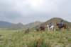 dsc_0839_small.jpg