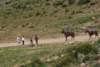 dsc_0843_small.jpg