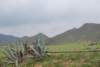 dsc_0853_small.jpg