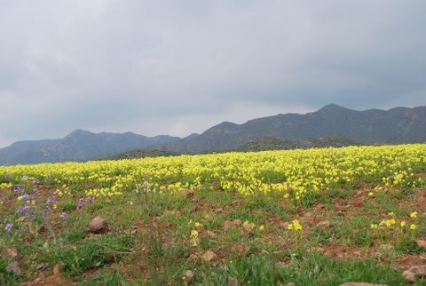 dsc_0855.jpg