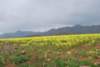 dsc_0855_small.jpg