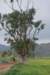 dsc_0865_small.jpg