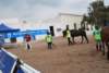 dsc_0871_small.jpg