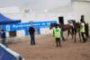 dsc_0872_small.jpg