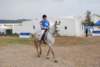 dsc_0873_small.jpg