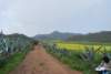 dsc_0879_small.jpg