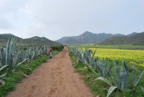 dsc_0880.jpg