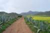 dsc_0880_small.jpg
