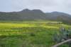dsc_0881_small.jpg