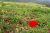 dsc_0882_small.jpg