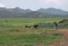 dsc_0888_small.jpg