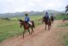 dsc_0889_small.jpg