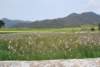dsc_0892_small.jpg